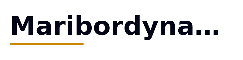 Maribordynamohub logo